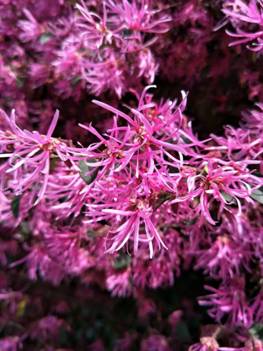 1513847467982004447.jpg 2.jpg