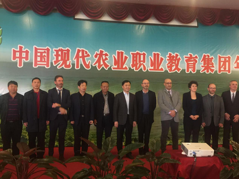 1518059916546087918.jpg 11.jpg